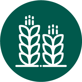 agriculture sector icon