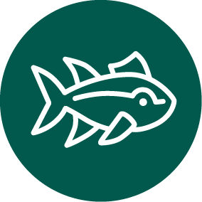 aquaculture icon